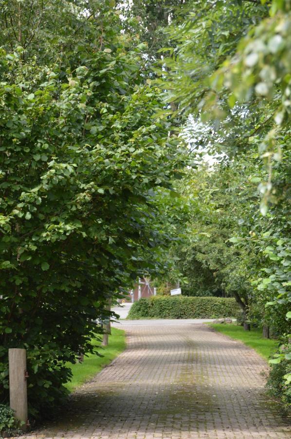 Bed and Breakfast Bij Ons Op 20 Nijeveen Экстерьер фото